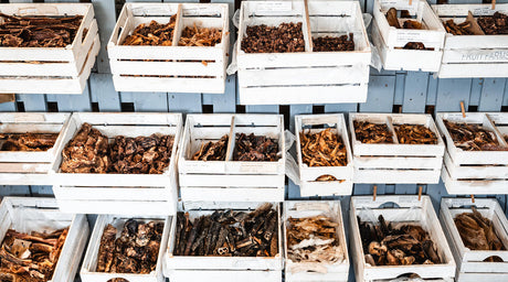 Hundefutter ohne Zusatzstoffe: Warum naturbelassene Ernährung besser ist