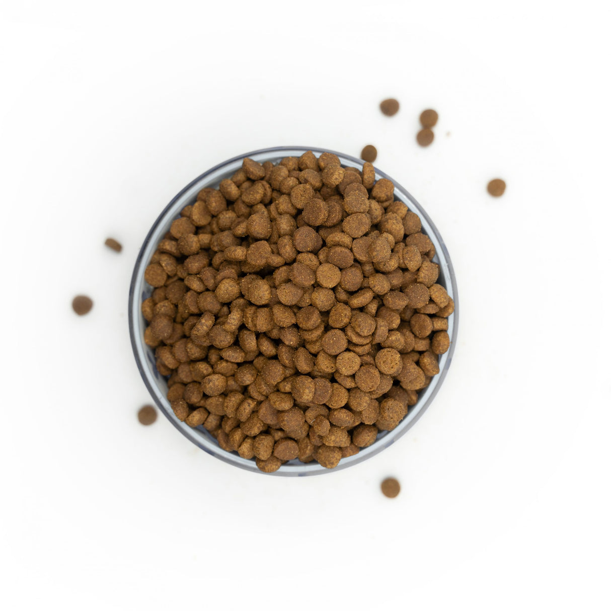 Huhn mit Thunfisch & Lachs - Katzen Trockenfutter