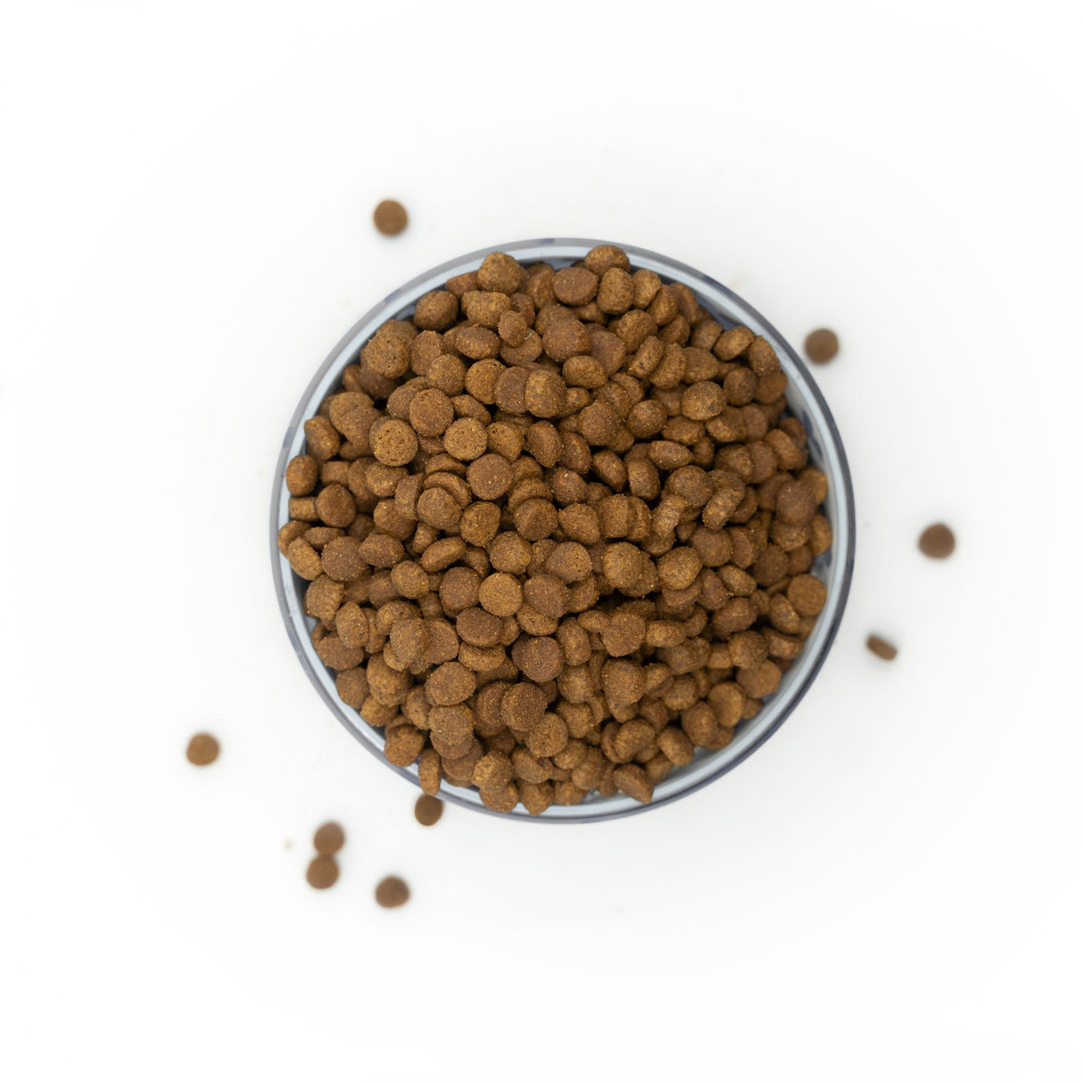 Truthahn & Huhn – Für junge Katzen - Trockenfutter