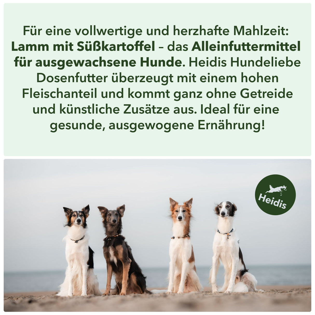 Für eine vollwertige und herzhafte Mahlzeit:
Lamm mit Süßkartoffel – das Alleinfuttermittel
für ausgewachsene Hunde. Heidis Hundeliebe
Dosenfutter überzeugt mit einem hohen
Fleischanteil und kommt ganz ohne Getreide
und künstliche Zusätze aus. Ideal für eine
gesunde, ausgewogene Ernährung!