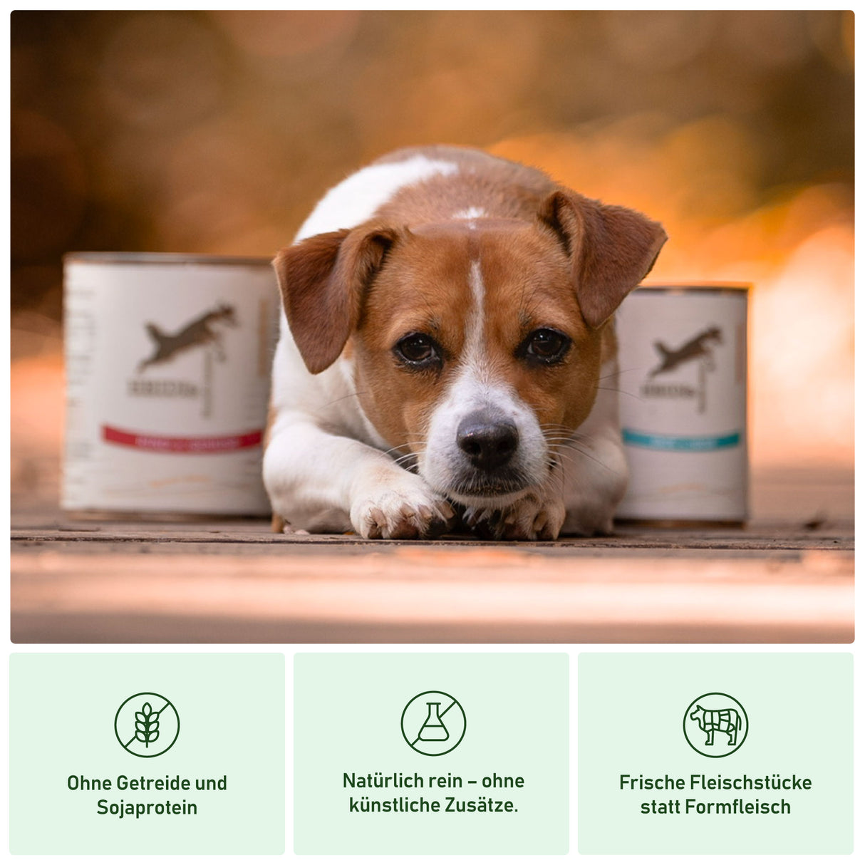 Vorteile von Heidis Hundeliebe Nassfutter für Hunde