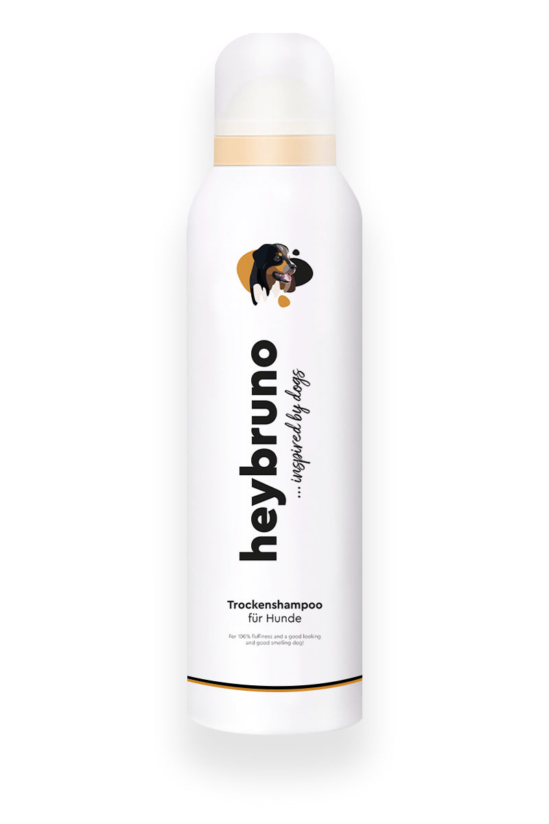 Hunde Trockenshampoo Schaum