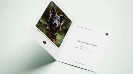 Kostenlose Geschenkgutschein-Templates zum Ausdrucken