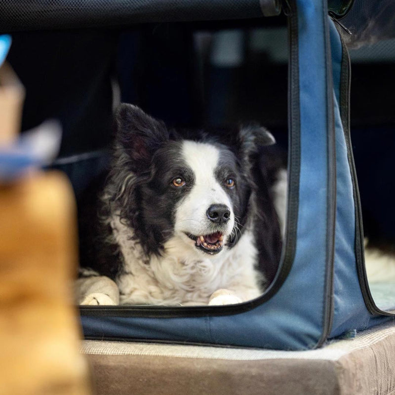 Zufriedener Hund im Hundebett Körbchen von Heidis Hundeliebe