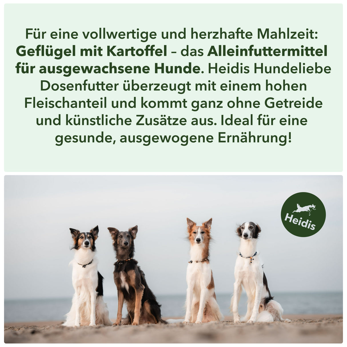 Für eine vollwertige und herzhafte Mahlzeit: 
Geflügel mit Kartoffel – das Alleinfuttermittel für ausgewachsene Hunde. Heidis Hundeliebe
Dosenfutter überzeugt mit einem hohen
 Fleischanteil und kommt ganz ohne Getreide 
und künstliche Zusätze aus. Ideal für eine 
gesunde, ausgewogene Ernährung!