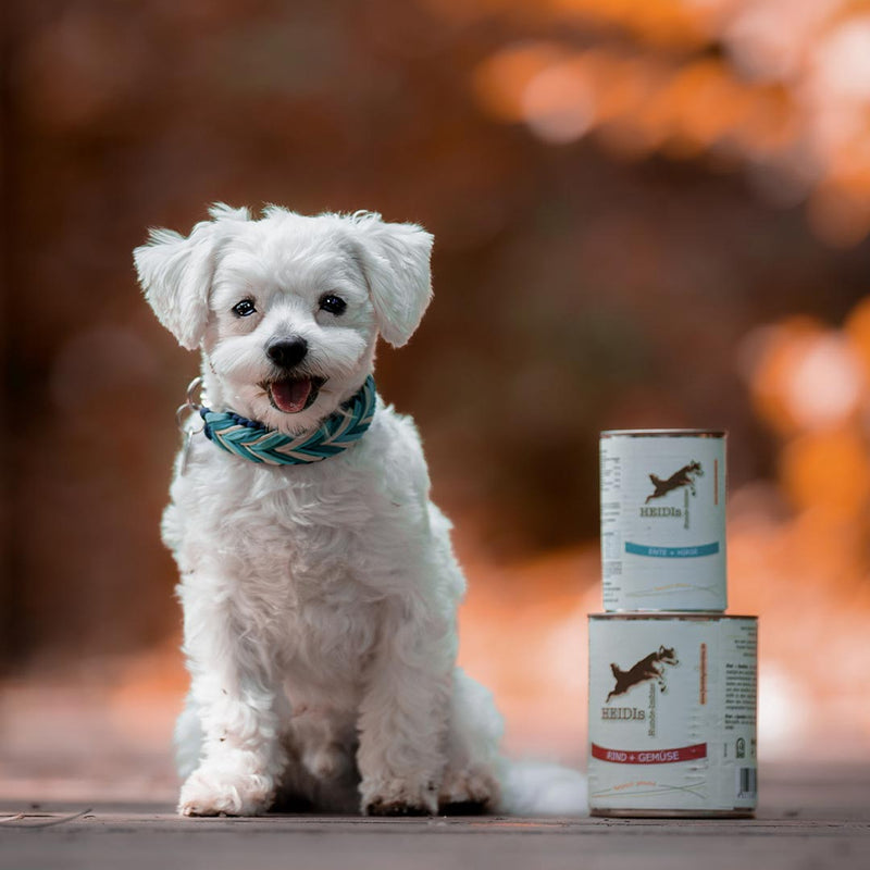 Glücklicher Hund neben einem Turm aus Nassfutter Dosen für Hunde von Heidis Hundeimbiss